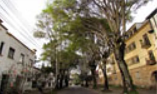aarbolitos-1509243361.jpg