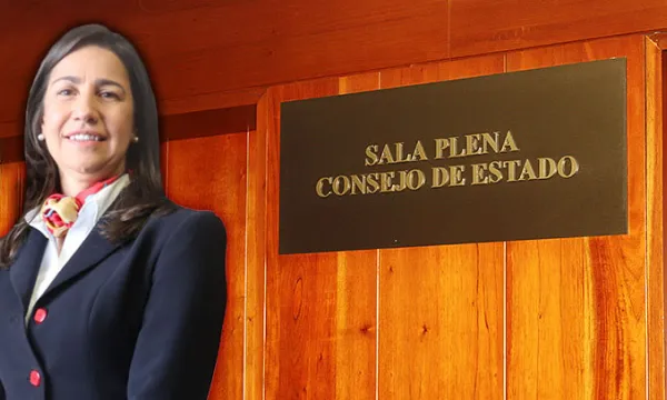 consejodeestado-mariaadrianamarinjuanrojas-1509241589.jpg