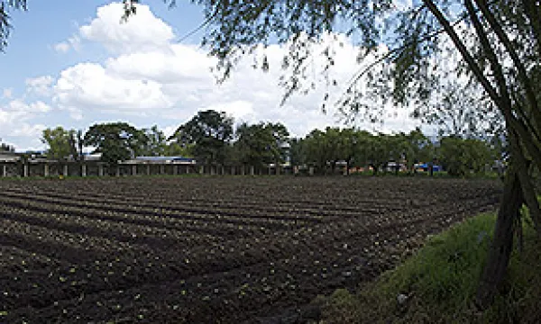 cultivos1-1509243028.jpg