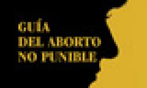 medi-110629-01-guia-del-aborto-1509244263.jpg