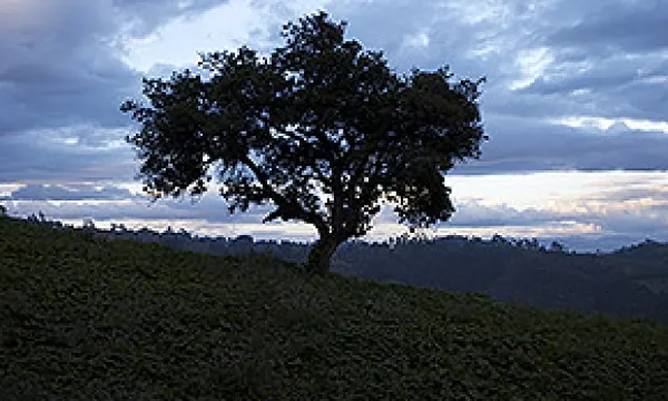 medi-130614rural1-1509243666.jpg