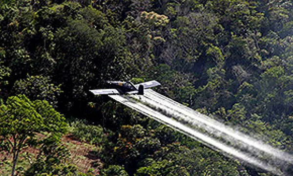 medi-132608fumigacion1-1509243597.jpg