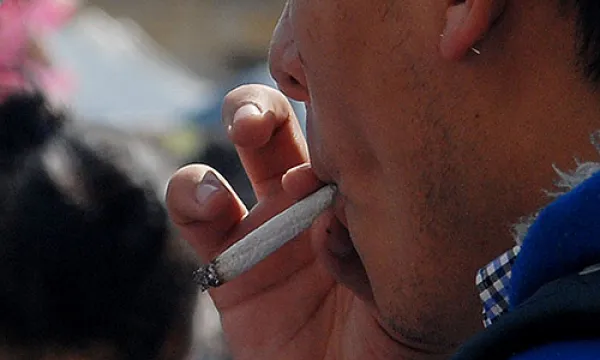 medi-150812marihuana220hp-1509242629.jpg