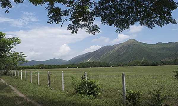medi-150819finca20ma-1509242504.jpg