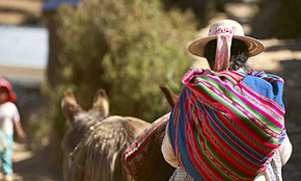 medi120424burro1-1509244057.jpg