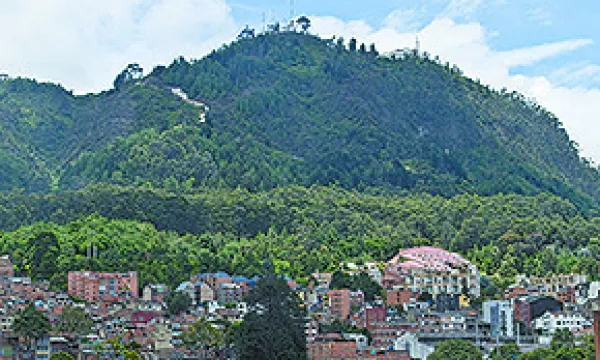 medi121212bogota1-1509243821.jpg