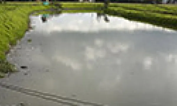 medi140328riobogota2-1509243329.jpg