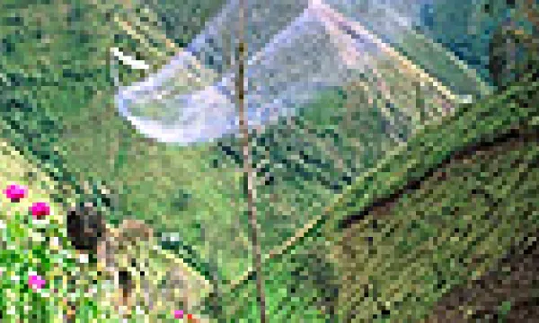 medi140401glifosato-1509243324.jpg