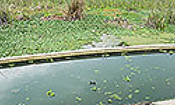 medi140402humedal-wiki-1509243323.jpg