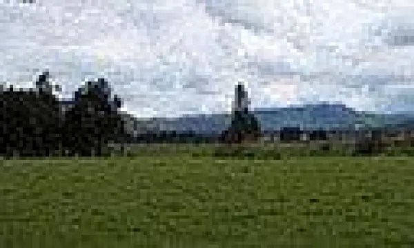 medi140710baldios2-ma-1509243038.jpg