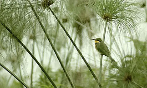 medi140906medioambiente-opt-1509243218.jpg