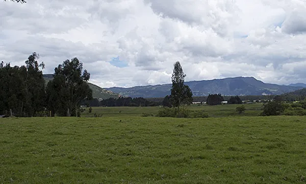 medi141508baldios20ma-1509242455.jpg