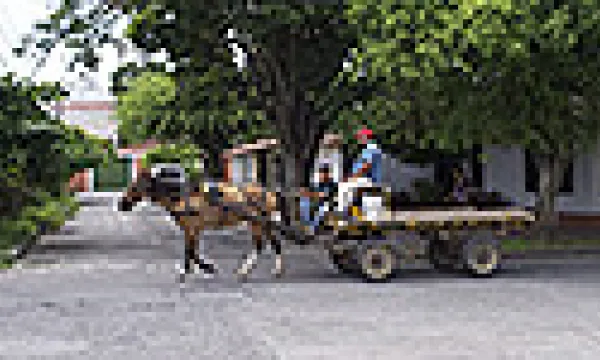 medi142304recicladores-1509243296.jpg