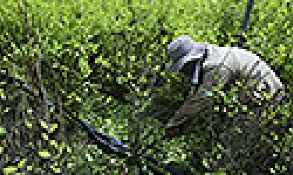 medi142309cocaina-reu-1509243056.jpg