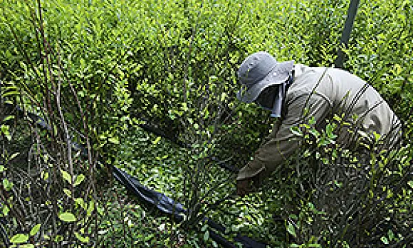 medi142310coca1-reu-1509243011.jpg