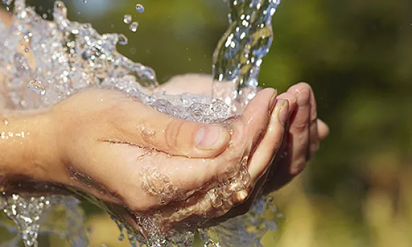 medi142907agua20thinks-1509242675.jpg