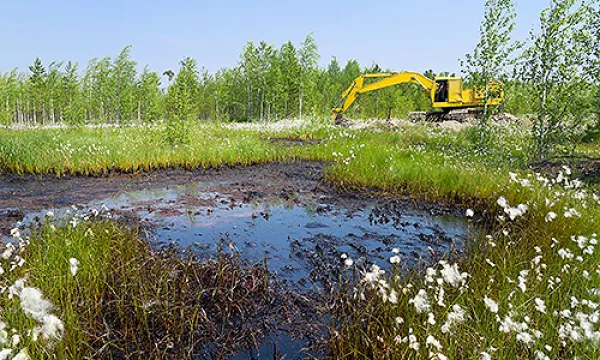 medi150506dano20ambiental-1509242736.jpg