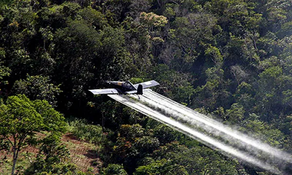 medi153004fumigacion20efejpg-1509242782.jpg
