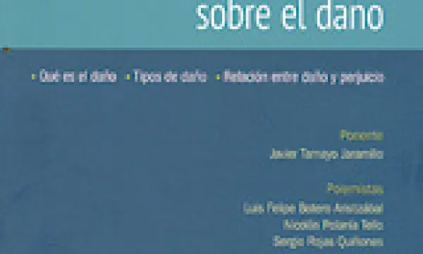 nuevas-reflexiones-sobre-el-dano-1509241608.jpg