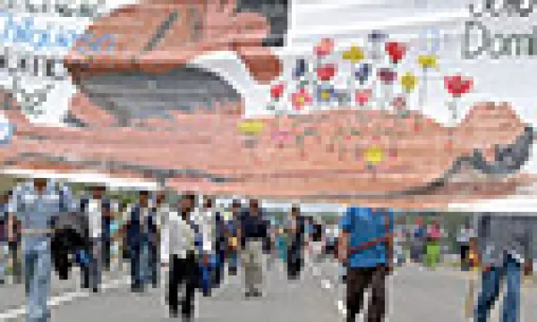 paeces2-1509243113.jpg