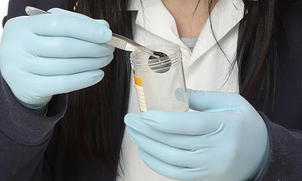 prueba-investigacion-delitothink-1509242046.jpg