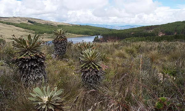represa-embalse-agua-reservanaturalmac-1509242091.jpg