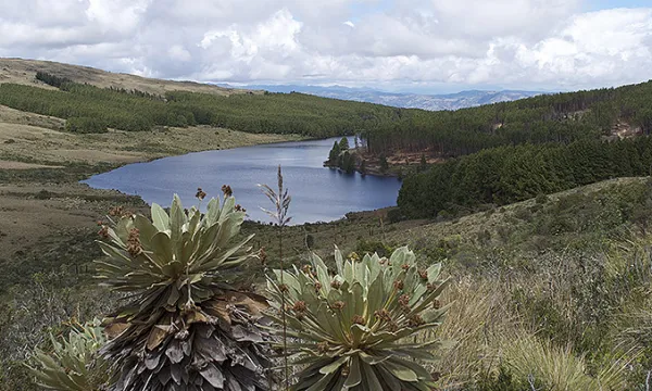 represa-embalse-agua1mac-1509242287.jpg
