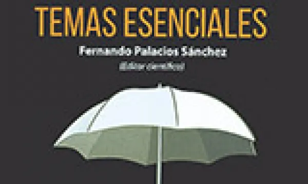 seguros20temas20esenciales-1509242175.jpg