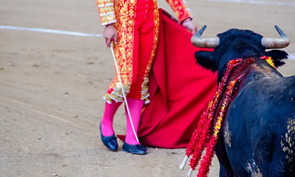 toros-corridas-torero2big-1509241864.jpg