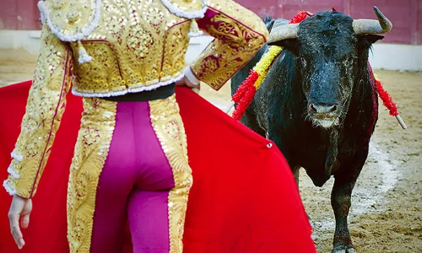 toros-corridas-torerobig-1509241856.jpg