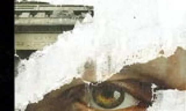 novela-criminal.jpg