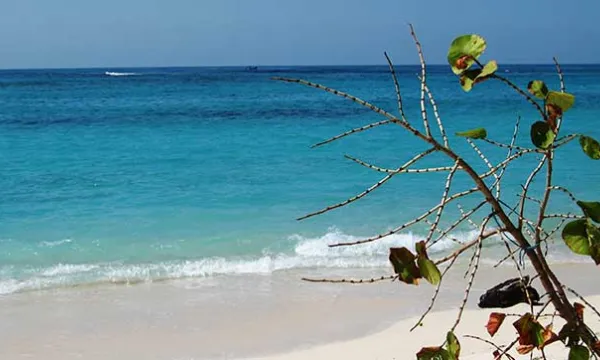 playas-islasparque-nacionales-izumitsurita.jpg