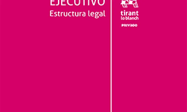 proceso-ejevutivo-estructura-2.jpg