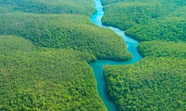 selva-amazonia-riobigstock.jpg