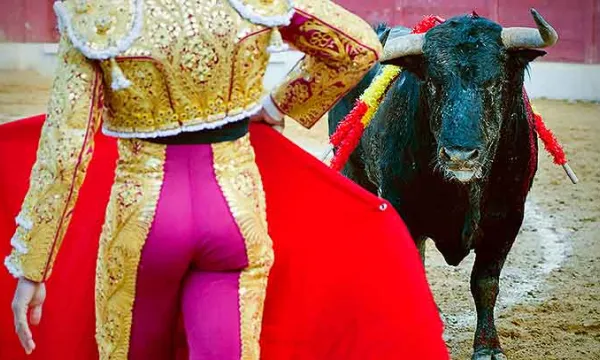 toros-corridas-torerobig.jpg