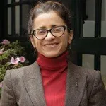 La Constitución económica en el proyecto de Constitución chilena: ¿vino nuevo en odres viejos?