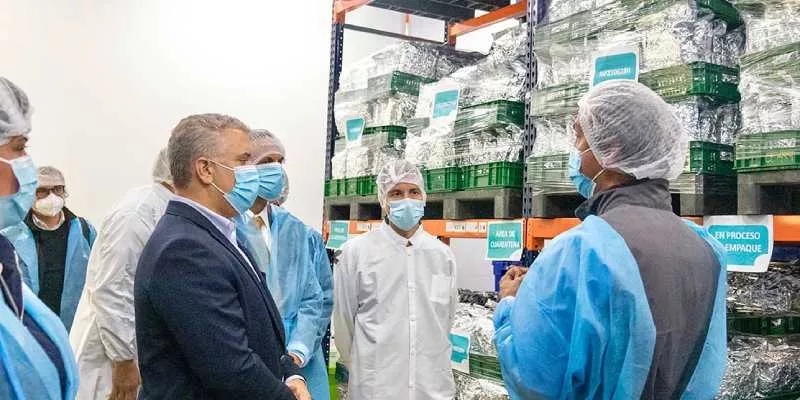 Expiden decreto que autoriza exportación de flor seca de cannabis con fines medicinales (Presidencia)