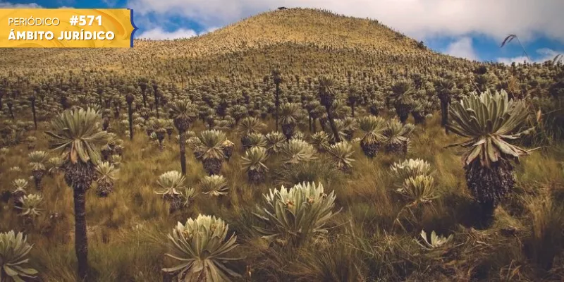 Viabilidad para actividades agropecuarias de bajo impacto en los páramos: ponderación de derechos (GettyImages)