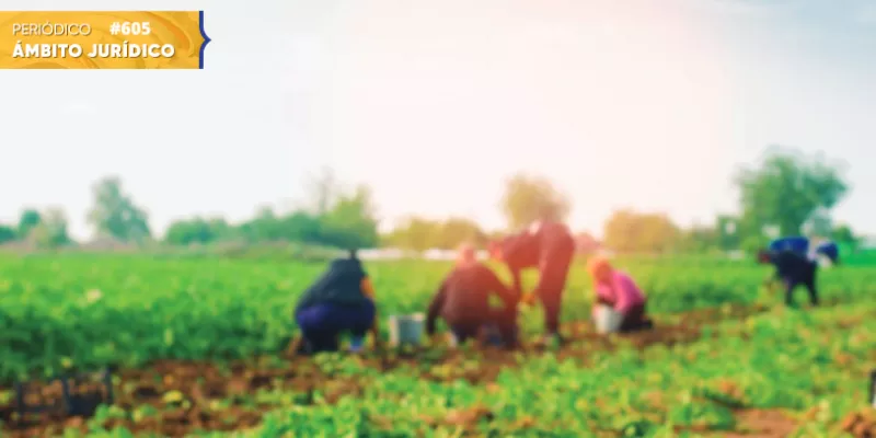 Justicia agraria y ambiental: una necesidad inaplazable (Shutterstock)