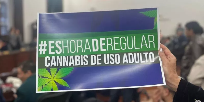 regulación-cannabis-adultos-d7-23(tw-jc-losada)