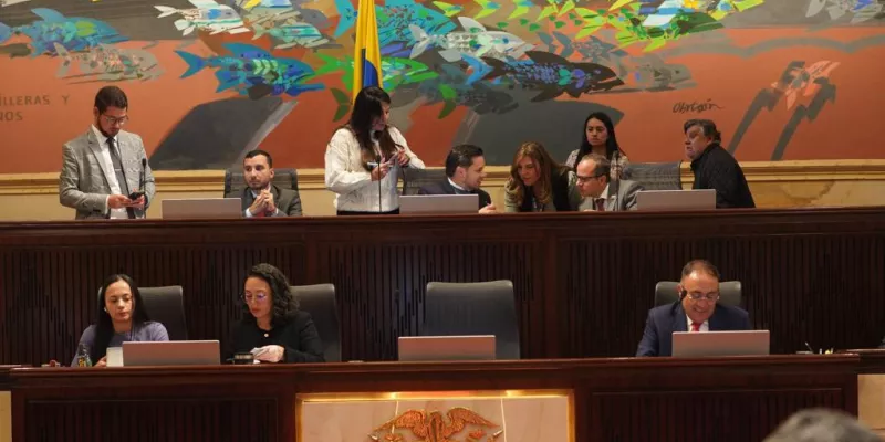 congreso-plenaria-23-2 (camara)