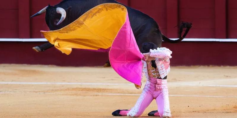 prohibicion-corridas-de-toro-congreso (rawpixel)