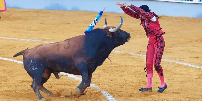 prohibicion-practicas-taurinas (rawpixel)