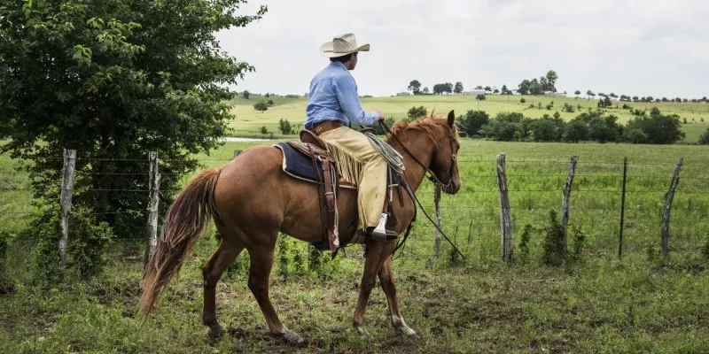reglamentacion-cabalgatas-23 (rawpixel)