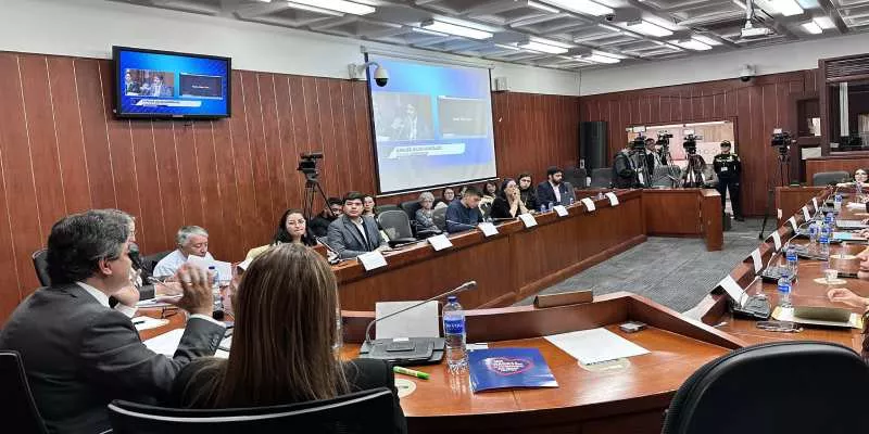 En el Senado estudian atención a problemas de salud mental de jóvenes desde el colegio (Carlos Julio)