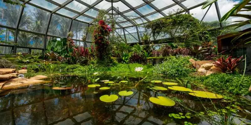 Buscan formalizar los jardines botánicos como entidades estatales (Jardín Botánico)