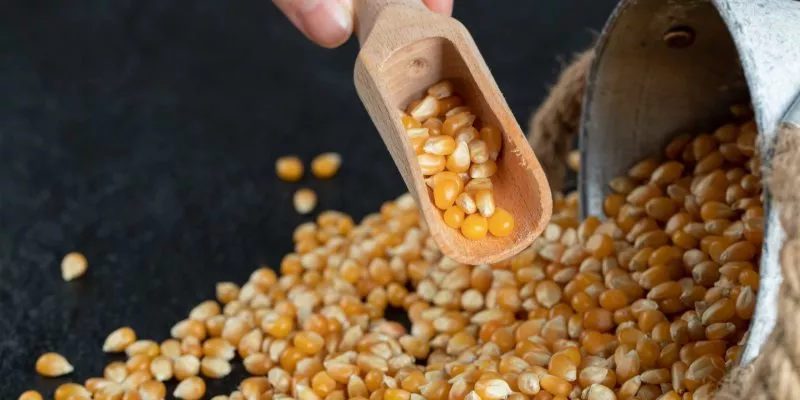 palomitas-maiz-crudas-cuchara-madera(freepik)