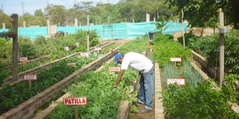 Inexequible decreto sobre medidas en materia de agricultura y desarrollo rural en La Guajira (Prosperidad Social)