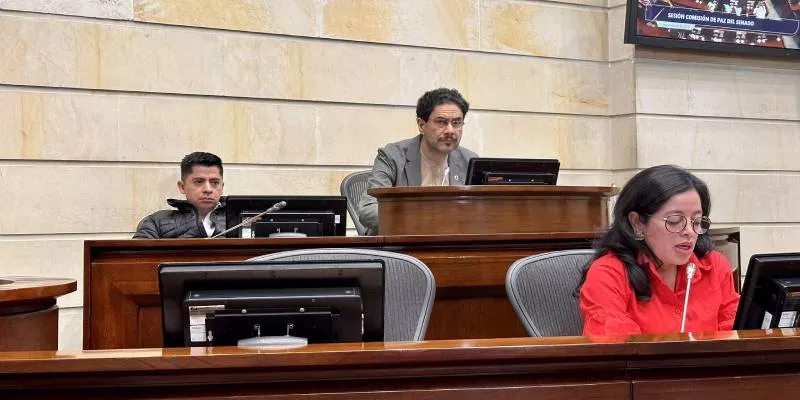 El Senado prende las alarmas ante el aumento de crímenes en el país (TW Jahel Quiroga)