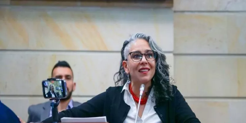 Senado realizó la audiencia pública sobre la reforma policial (Senado)